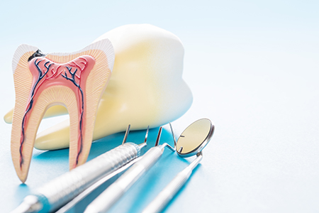 Kids Dental Avenue